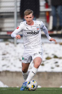 Helsingborgs William Westerlund
