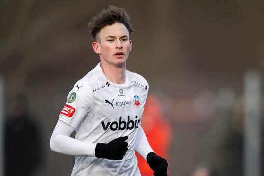 Helsingborgs Alexander Johansson