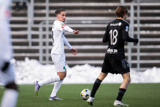 Helsingborgs Ervin Gigovic agerar