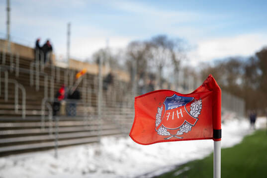 Hörnflagga