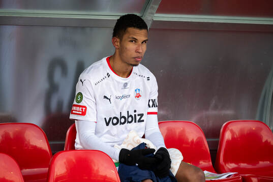 Helsingborgs Harol Romana