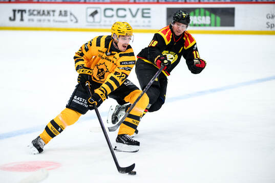 Bläddra bland fler bilder av Ishockey, SHL, Brynäs - Skellefteå