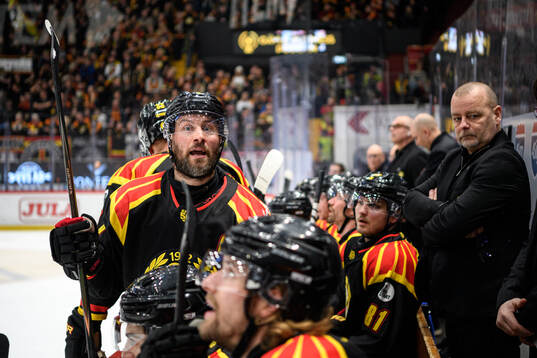 Brynäs Johan Larsson
