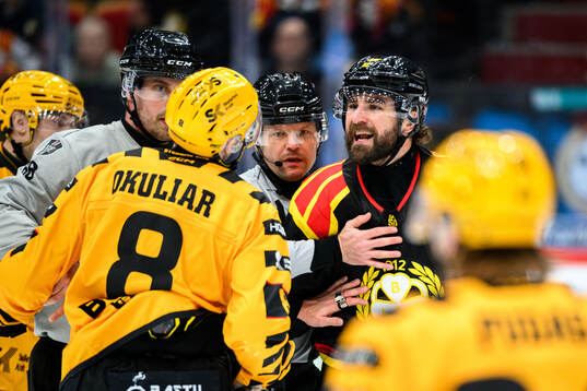 Skellefteås Oliver Okuliar och Brynäs Luke Witkowski