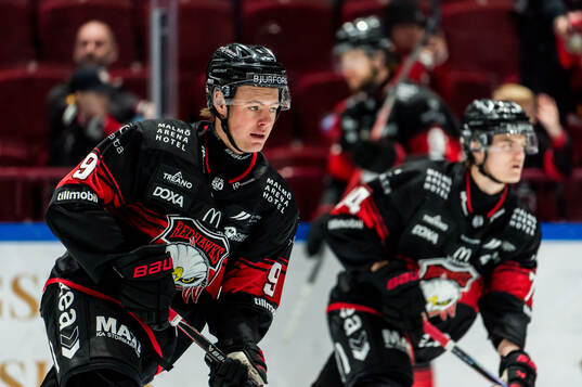 Malmö Redhawks Kalle Hemström