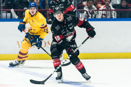 Malmö Redhawks Lauri Pajuniemi