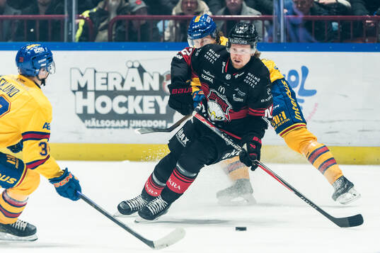 Malmö Redhawks Robin Salo