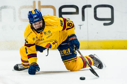 Djurgårdens Viggo Björck