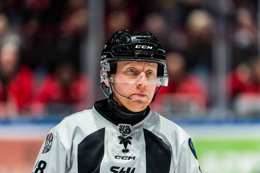 Domare Mikael Holm