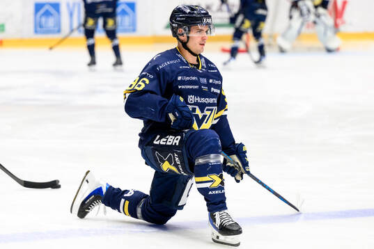 HV71s Nikola Pasic