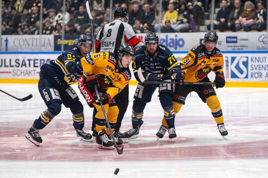 HV71s Lukas Rousek och Luleås Isac Hedqvist
