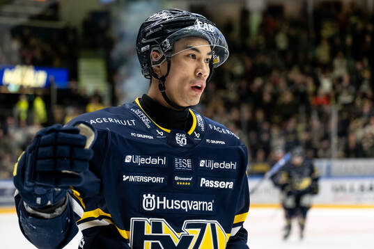 HV71s Jonathan Ang jublar
