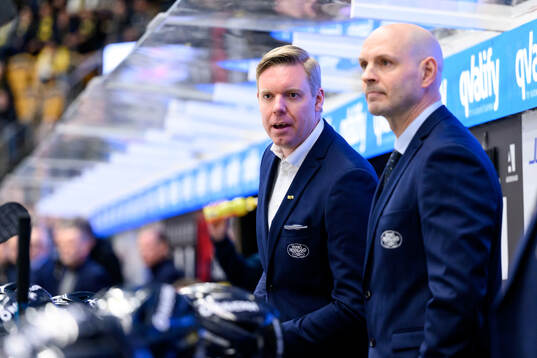 HV71s tränare Anton Blomqvist
