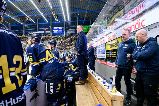 HV71s assisterande tränare Nicklas Rahm