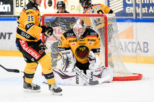 Luleås målvakt Matteus Ward