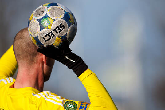 En fotboll