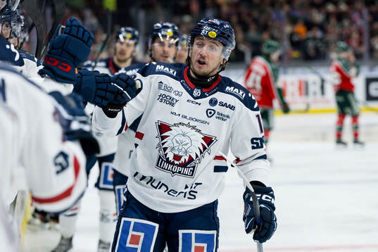 Linköpings Jakub Vrana jublar