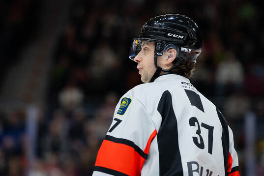 Domare Johan Wedin Domare Mattias Enroth
