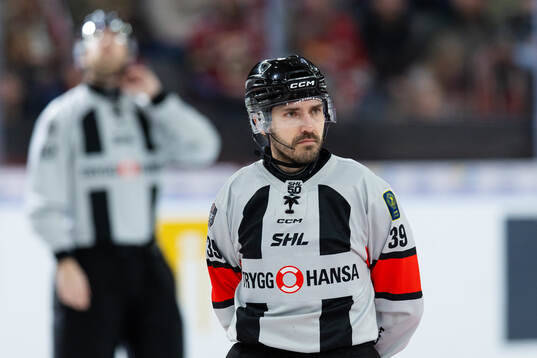 Domare Mattias Enroth