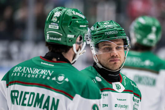 Rögles Leon Bristedt