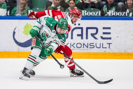 Bläddra bland fler bilder av Ishockey, SHL, Rögle - Timrå