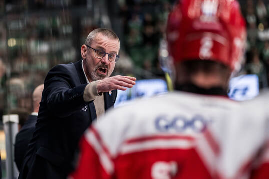 Timrås tränare Tommy Samuelsson