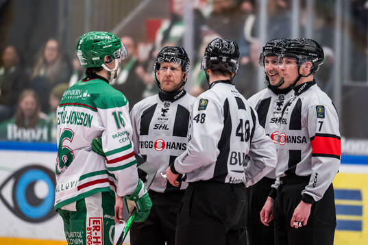 Rögles Lukas Ekeståhl-Jonsson i samtal med domaren