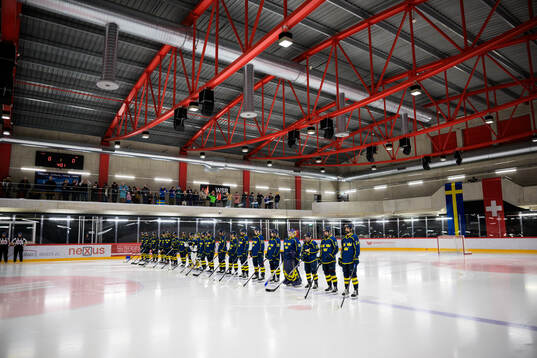 Players of Sweden