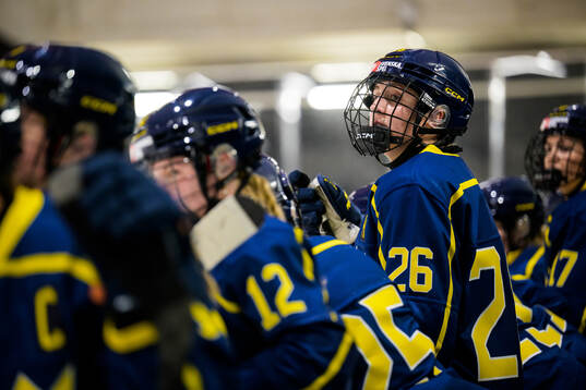 Hanna Olsson of Sweden in a women's international friendly
