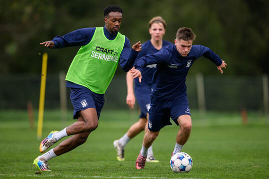 Hamse Shagaxle och Leo Radakovic