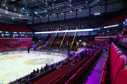 Monitor ERP Arena