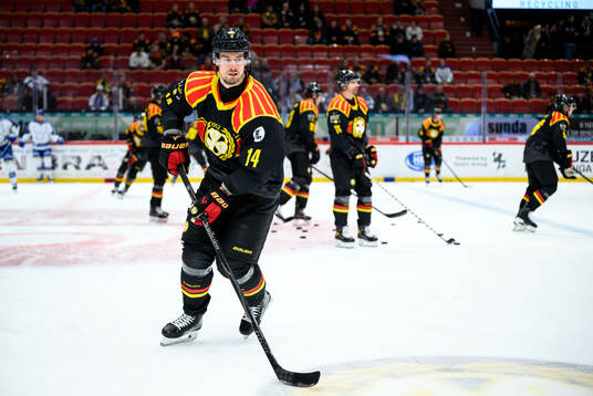 Brynäs Robert Hägg