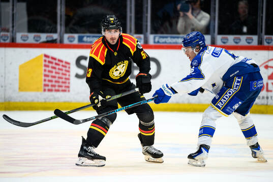 Brynäs Luke Witkowski och Leksands Alexander Lundqvist
