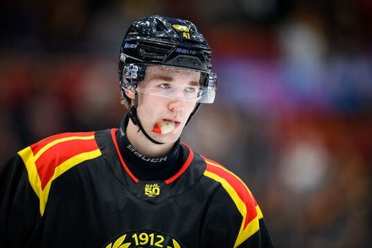Brynäs Lucas Pettersson