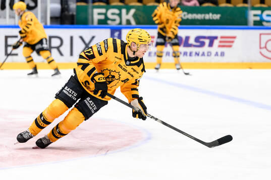 Skellefteås Pär Lindholm