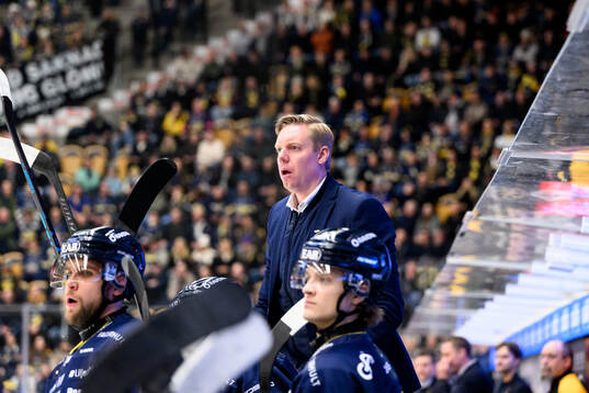 HV71s tränare Anton Blomqvist