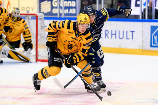Skellefteås Victor Stjernborg och HV71s Nikola Pasic