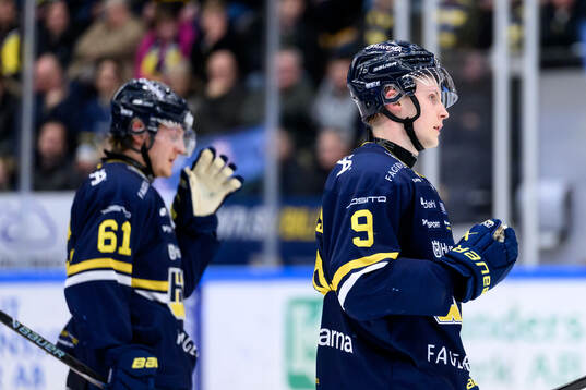 HV71s Hugo Pettersson deppar