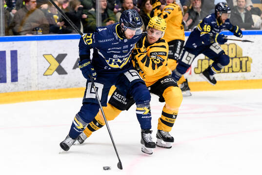 HV71s Lukas Rousek och Skellefteås Jonathan Johnson