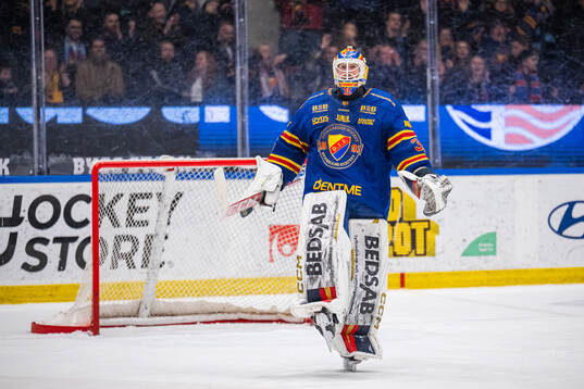 Djurgårdens målvakt Magnus Hellberg jublar