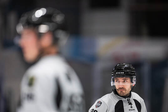 Domare Mattias Enroth