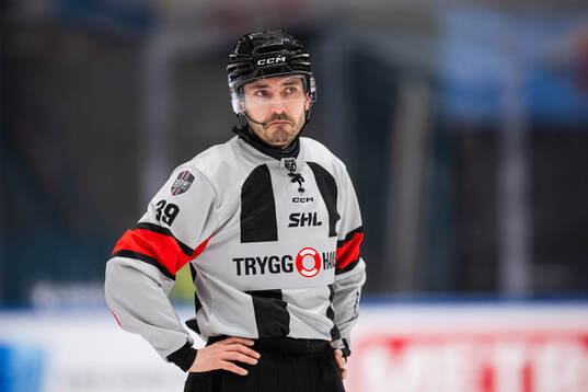 Domare Mattias Enroth