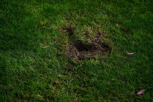Hål i fotbollsplanen