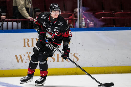 Under ishockeymatchen i SHL mellan Malmö Redhawks och