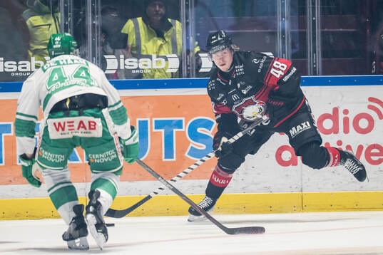 Malmö Redhawks Lauri Pajuniemi