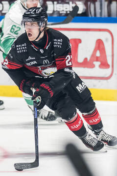 Malmö Redhawks Janne Kuokkanen