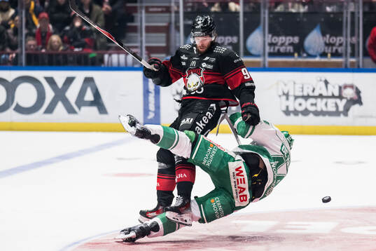 Bläddra bland fler bilder av Ishockey, SHL, Malmö Redhawks - Rögle