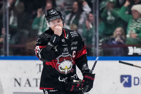 Malmö Redhawks Fredrik Händemark deppar