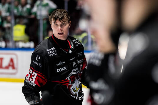 Malmö Redhawks Fredrik Händemark