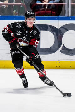 Malmö Redhawks Petter Vesterheim